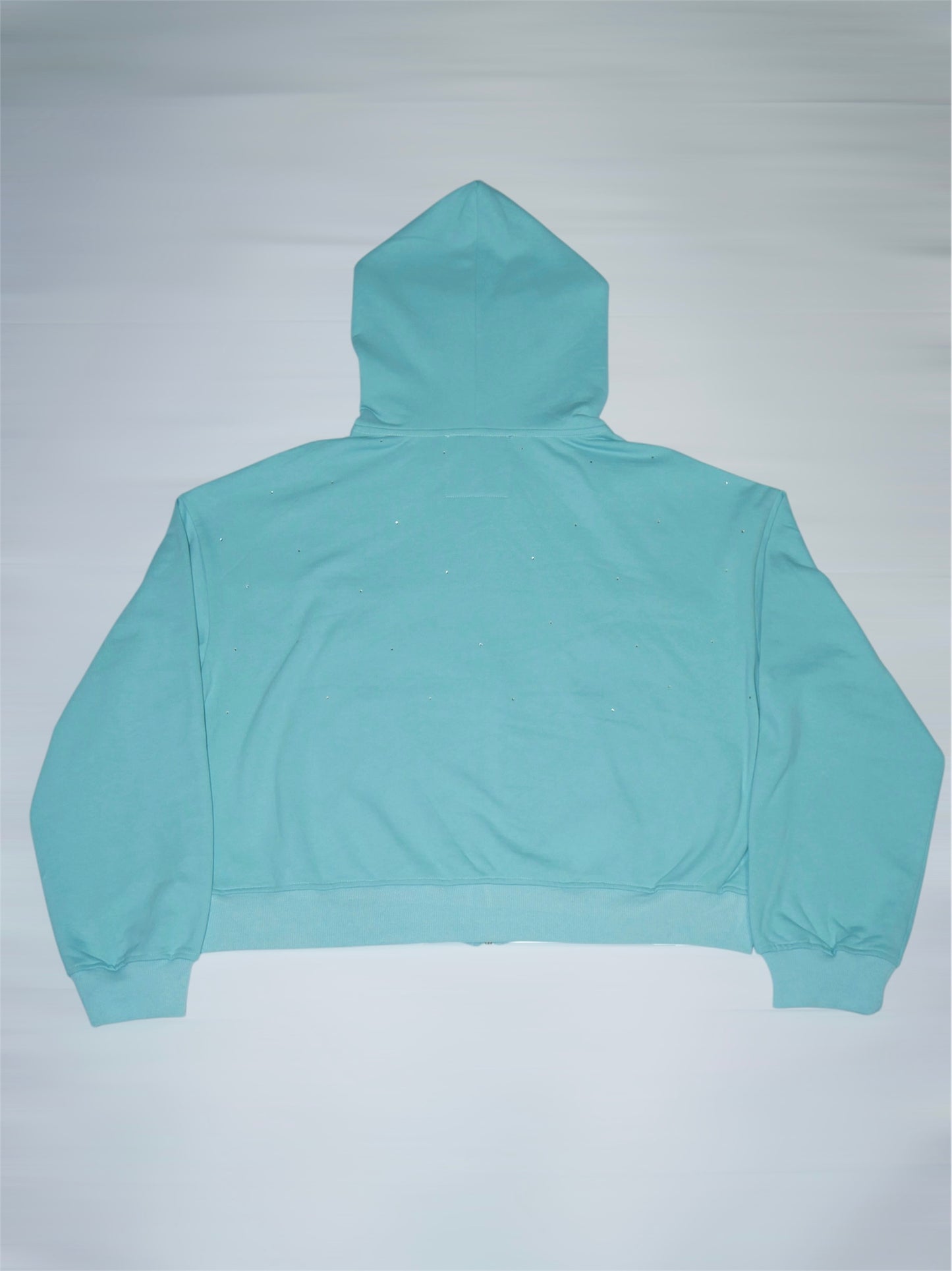 Thoughts Cropped Zip up Hoodie (Aquamarine)